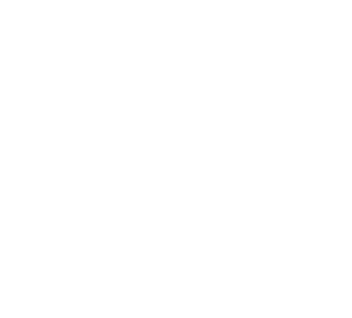 Stéphanie Nachar — monogramme SN et signature